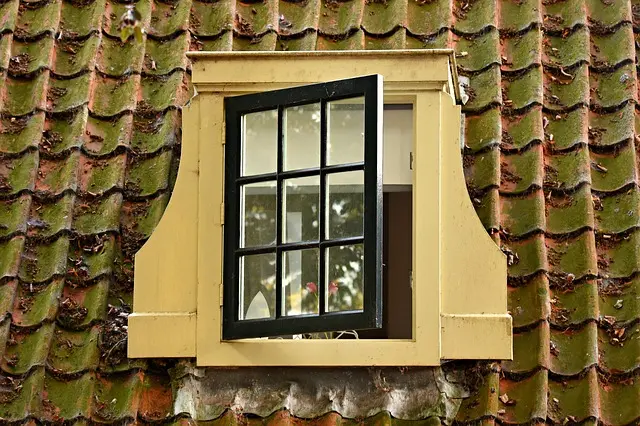 Dakopbouw Leiden: meer ruimte zonder footprint